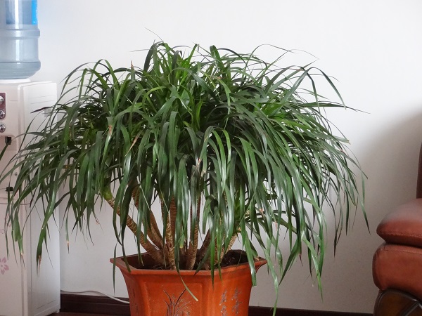 我公司參加洛陽市二屆工業博覽會花絮